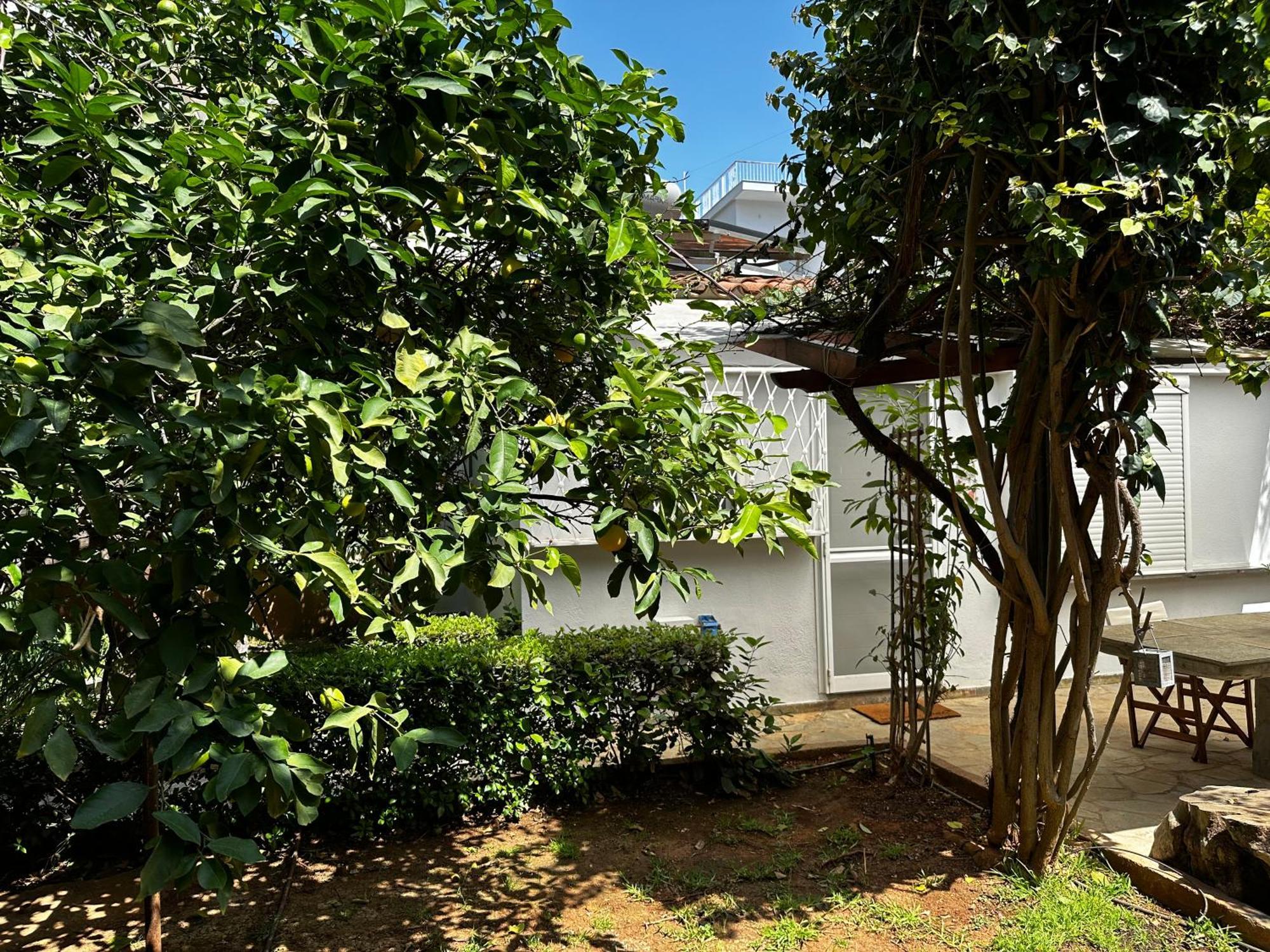Antonis'S Garden House Apartment Atena Exterior foto